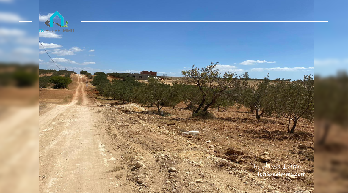 Terrain 3872m² Sidi Hammed